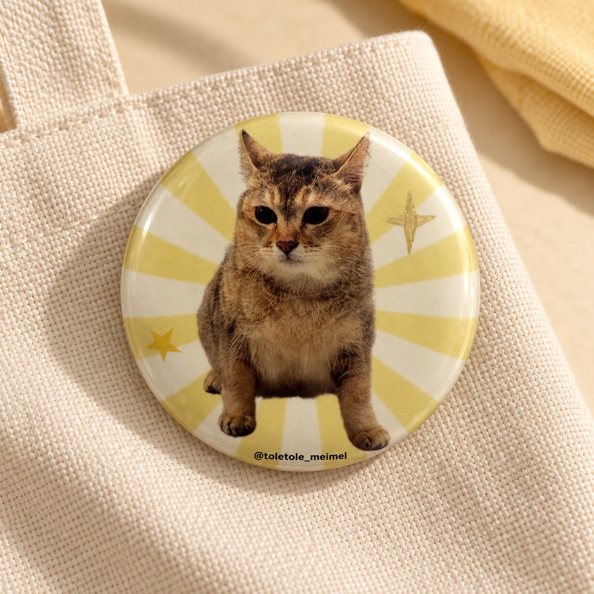 Cat Button Badge Set — 10 Unique Designs