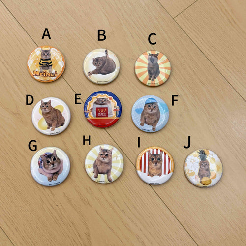 Cat Button Badge Set — 10 Unique Designs