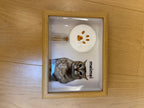 Meimei Paw Print Keepsake Set – Pet Fur Storage Vial, Custom Memorial Gift with Exclusive Meimei Custom Video