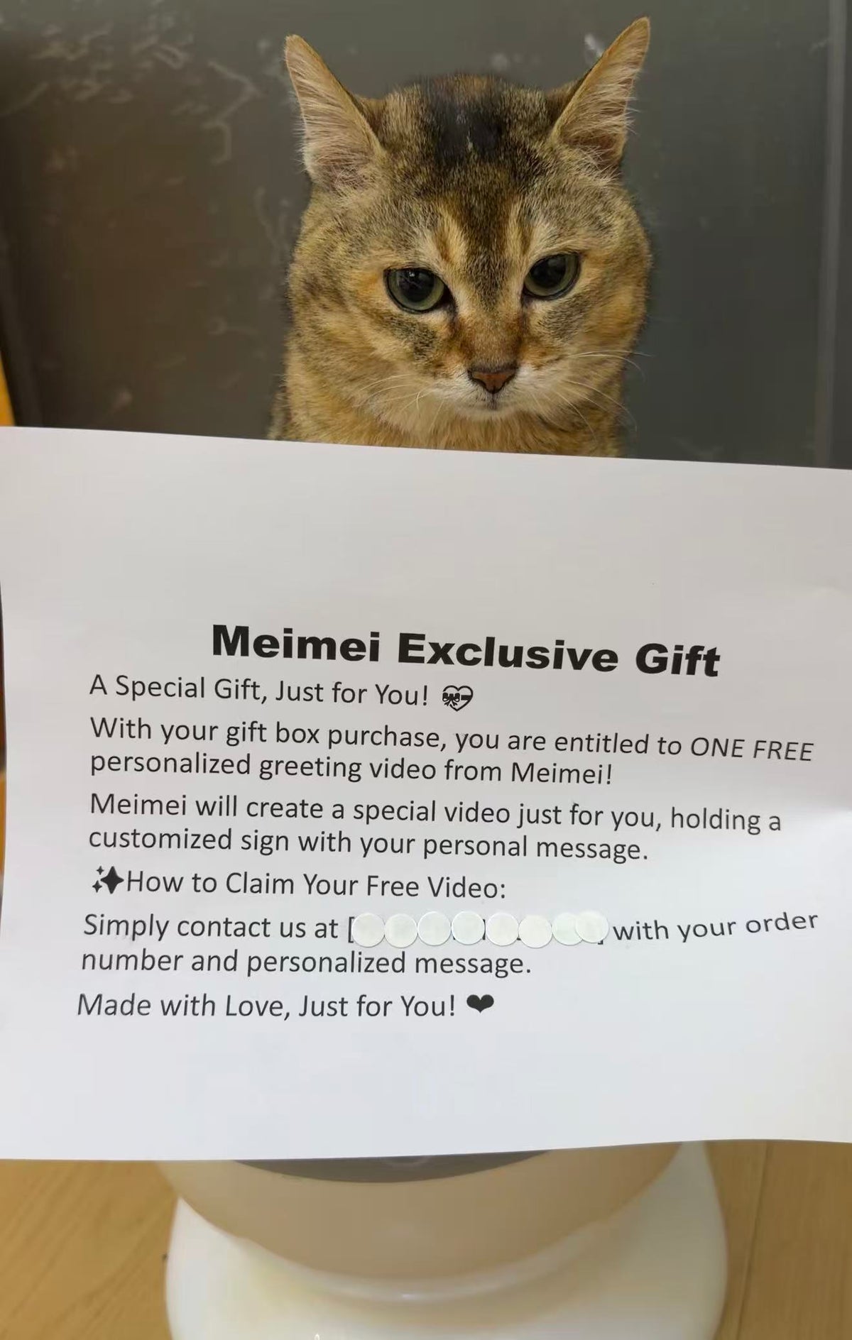 Meimei Paw Print Keepsake Set – Pet Fur Storage Vial, Custom Memorial Gift with Exclusive Meimei Custom Video