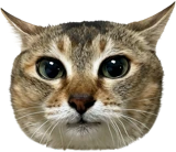 Meimei